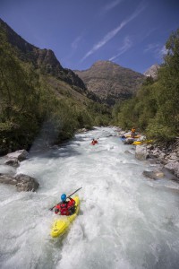IMG_7782